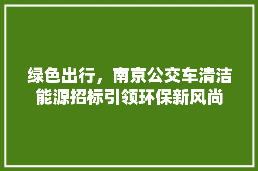 绿色出行，南京公交车清洁能源招标引领环保新风尚