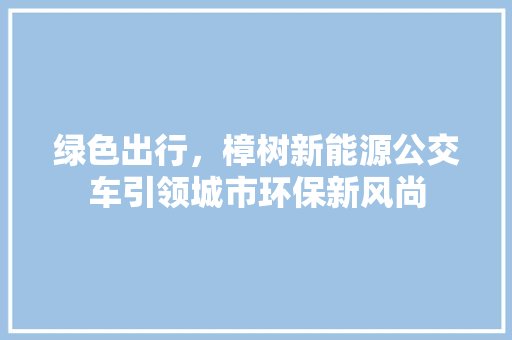 绿色出行，樟树新能源公交车引领城市环保新风尚