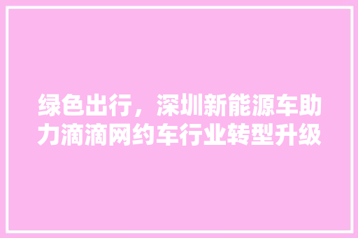 绿色出行，深圳新能源车助力滴滴网约车行业转型升级