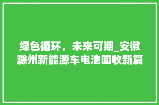 绿色循环，未来可期_安徽滁州新能源车电池回收新篇章