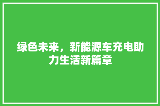 绿色未来，新能源车充电助力生活新篇章