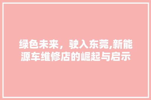 绿色未来，驶入东莞,新能源车维修店的崛起与启示