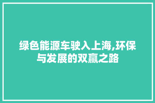 绿色能源车驶入上海,环保与发展的双赢之路