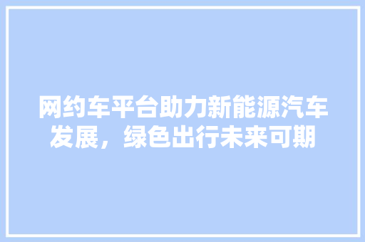 网约车平台助力新能源汽车发展，绿色出行未来可期