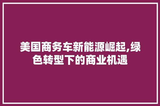 美国商务车新能源崛起,绿色转型下的商业机遇