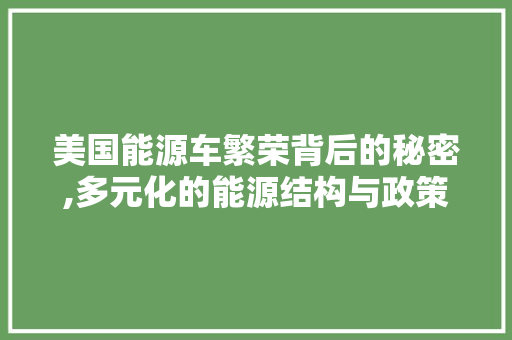 美国能源车繁荣背后的秘密,多元化的能源结构与政策支持