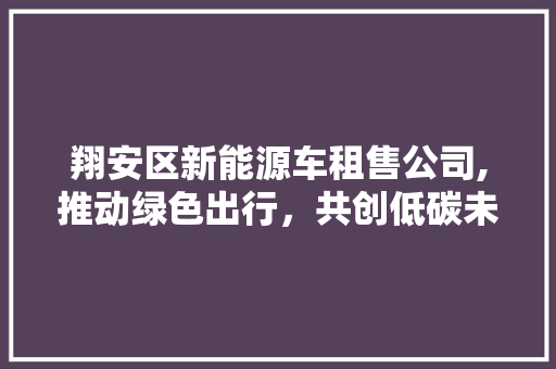 翔安区新能源车租售公司,推动绿色出行，共创低碳未来