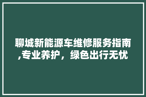 聊城新能源车维修服务指南,专业养护，绿色出行无忧