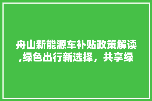 舟山新能源车补贴政策解读,绿色出行新选择，共享绿色未来