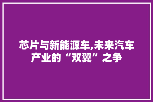 芯片与新能源车,未来汽车产业的“双翼”之争