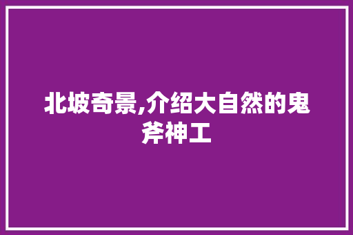 北坡奇景,介绍大自然的鬼斧神工