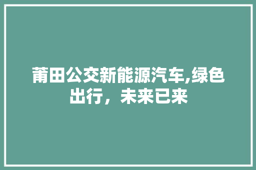 莆田公交新能源汽车,绿色出行，未来已来