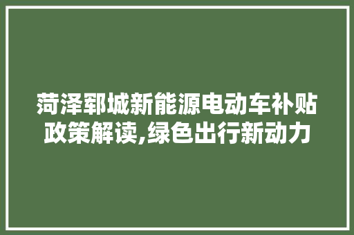 菏泽郓城新能源电动车补贴政策解读,绿色出行新动力