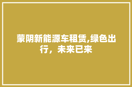 蒙阴新能源车租赁,绿色出行，未来已来