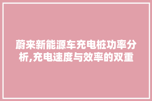 蔚来新能源车充电桩功率分析,充电速度与效率的双重保障