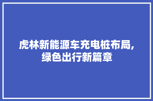 虎林新能源车充电桩布局,绿色出行新篇章