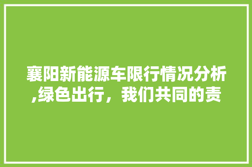 襄阳新能源车限行情况分析,绿色出行，我们共同的责任