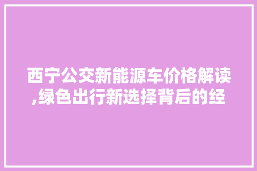 西宁公交新能源车价格解读,绿色出行新选择背后的经济考量