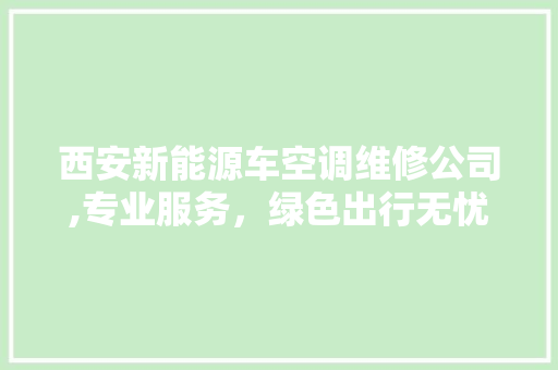 西安新能源车空调维修公司,专业服务，绿色出行无忧