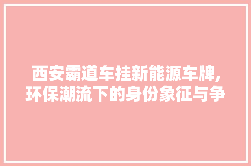 西安霸道车挂新能源车牌,环保潮流下的身份象征与争议