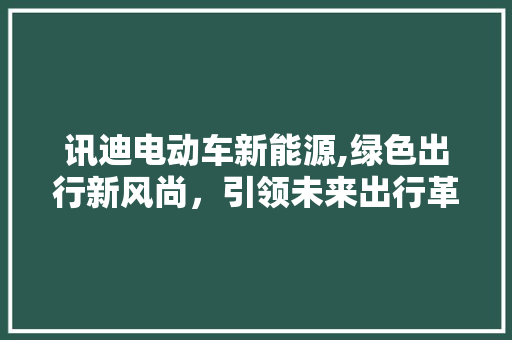 讯迪电动车新能源,绿色出行新风尚，引领未来出行革命