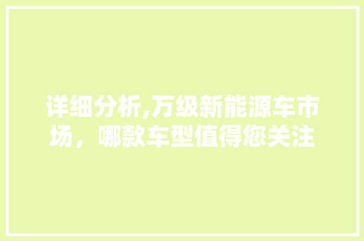 详细分析,万级新能源车市场，哪款车型值得您关注