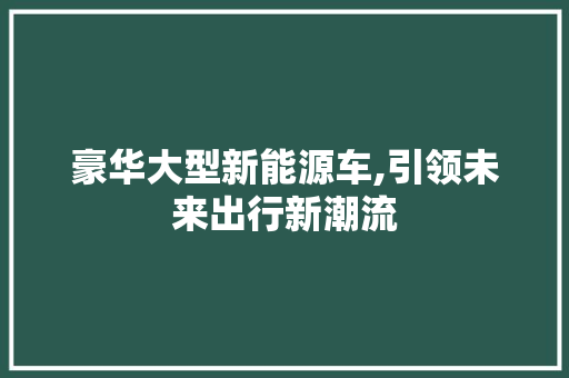 豪华大型新能源车,引领未来出行新潮流