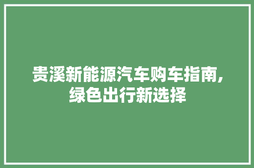 贵溪新能源汽车购车指南,绿色出行新选择