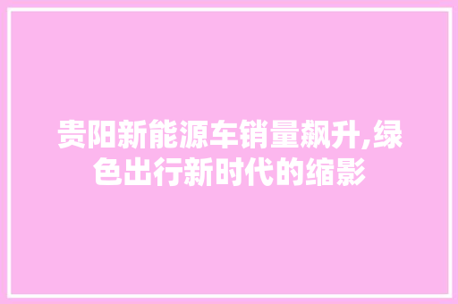 贵阳新能源车销量飙升,绿色出行新时代的缩影