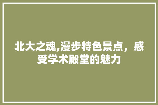 北大之魂,漫步特色景点，感受学术殿堂的魅力