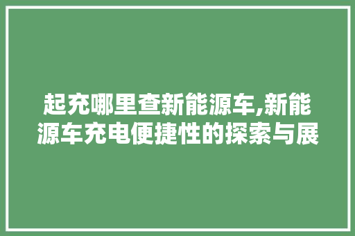 起充哪里查新能源车,新能源车充电便捷性的探索与展望  第1张