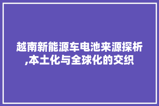 越南新能源车电池来源探析,本土化与全球化的交织