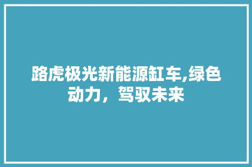 路虎极光新能源缸车,绿色动力，驾驭未来