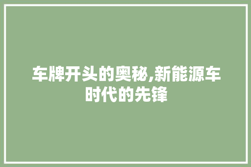 车牌开头的奥秘,新能源车时代的先锋