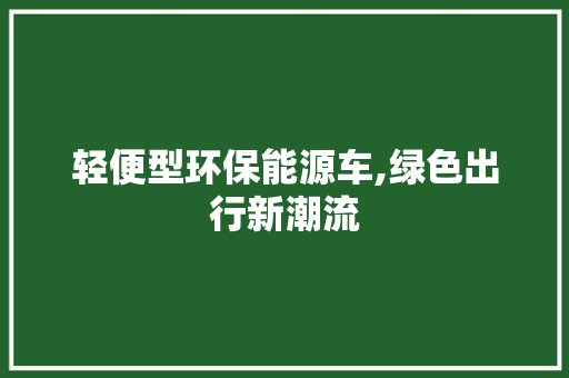 轻便型环保能源车,绿色出行新潮流