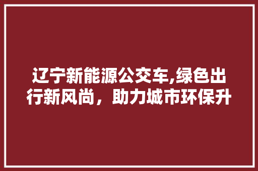 辽宁新能源公交车,绿色出行新风尚，助力城市环保升级