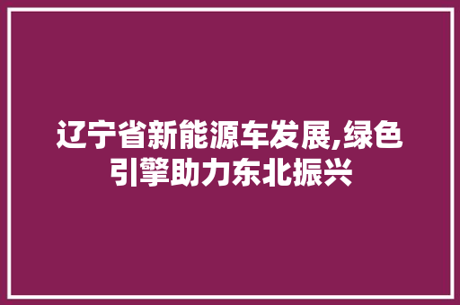 辽宁省新能源车发展,绿色引擎助力东北振兴