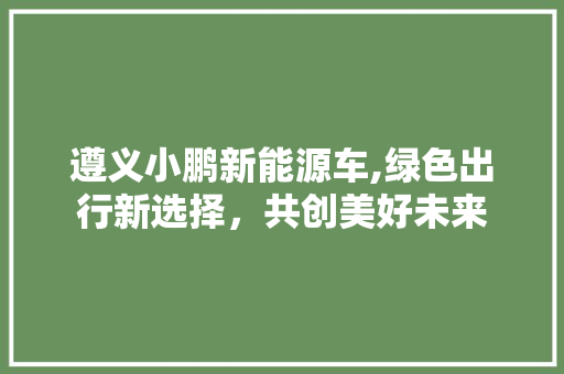 遵义小鹏新能源车,绿色出行新选择，共创美好未来