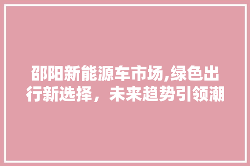 邵阳新能源车市场,绿色出行新选择，未来趋势引领潮流