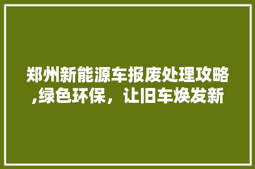 郑州新能源车报废处理攻略,绿色环保，让旧车焕发新生命