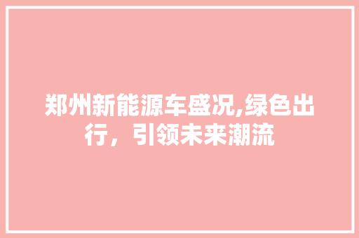 郑州新能源车盛况,绿色出行，引领未来潮流