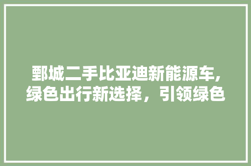 鄄城二手比亚迪新能源车,绿色出行新选择，引领绿色生活新风尚