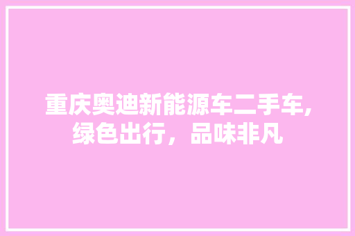 重庆奥迪新能源车二手车,绿色出行，品味非凡