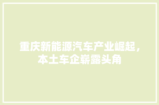 重庆新能源汽车产业崛起，本土车企崭露头角