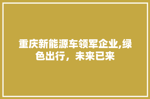 重庆新能源车领军企业,绿色出行，未来已来