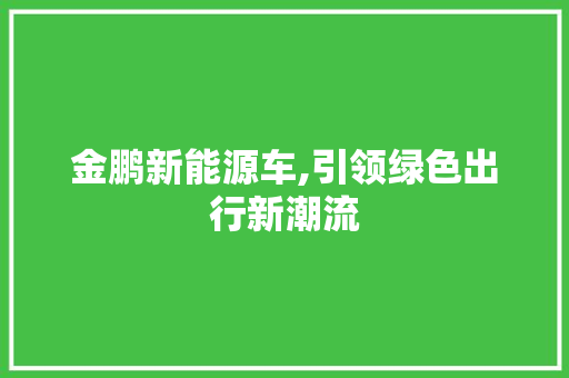 金鹏新能源车,引领绿色出行新潮流