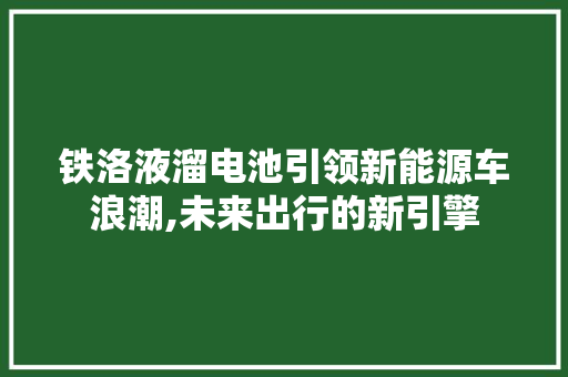 铁洛液溜电池引领新能源车浪潮,未来出行的新引擎