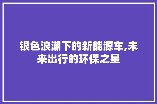 银色浪潮下的新能源车,未来出行的环保之星