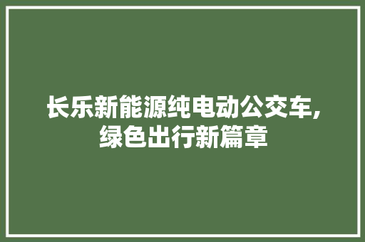 长乐新能源纯电动公交车,绿色出行新篇章