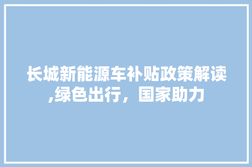 长城新能源车补贴政策解读,绿色出行，国家助力